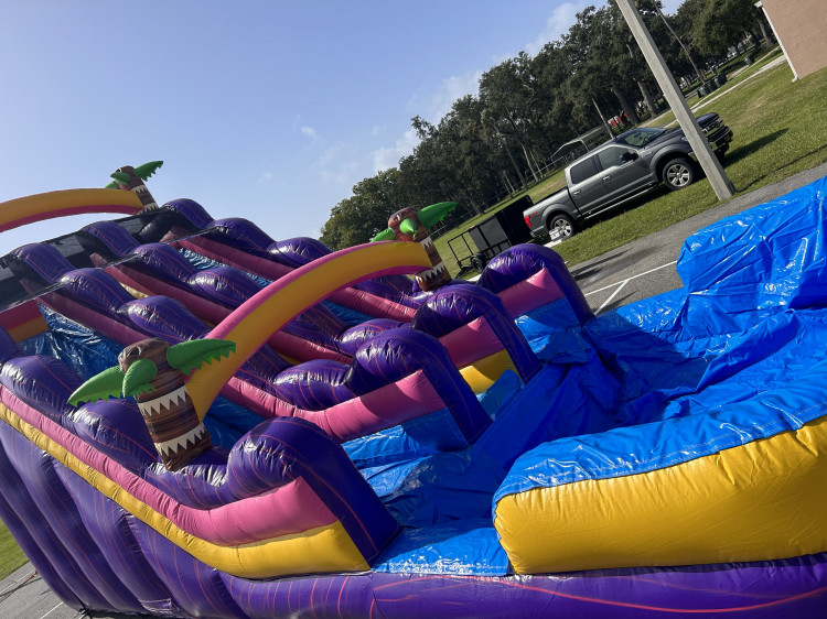 Purple Tropical Double lane Water slide